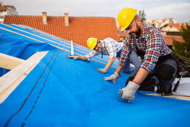 Best Green or Eco-Friendly Roofing Solutions  in Newton, KS